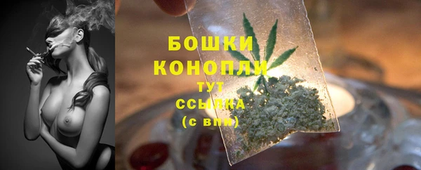 таблы Богородицк