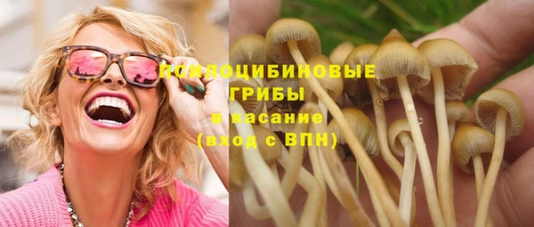 ешки Бронницы