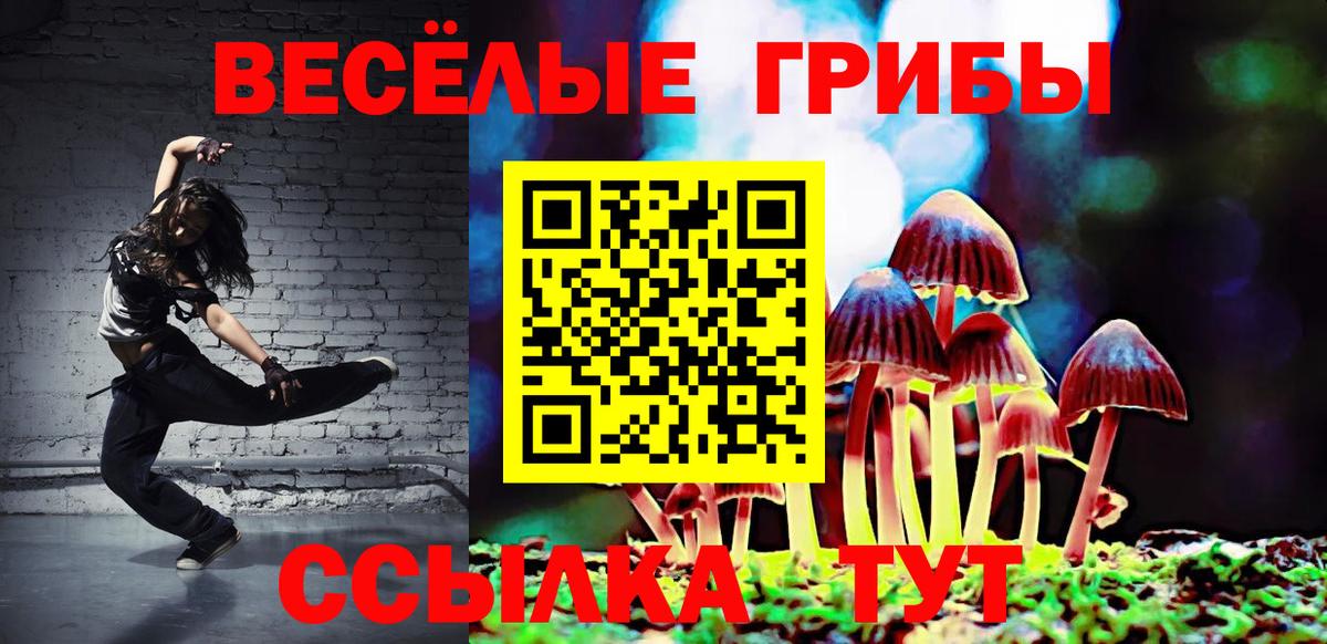 Псилоцибиновые грибы ЛСД  Вход с VPN  где купить наркотик  Горно-Алтайск  Галлюциногенные грибы Psilocybe 